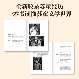 米 苏童 长大了再看人性暗黑小说经典 茅盾文学得主苏童代表作 宇辉 小说