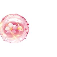 亮晶晶香水洗衣凝珠8g*52颗*2盒樱花香氛持久留香30天除菌除螨