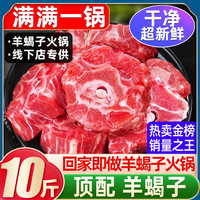 华禧顿羊排羊肋排羊肉生鲜半只羊新鲜年货羊肉礼盒手抓羊腿羊蝎子国产 精品丨羊蝎子【10斤】