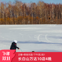 长白山 万达酒店 10店4晚+2大1小雪季权益+萌宠乐园/下午茶