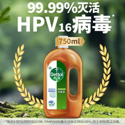 Dettol 滴露 消毒液 松木香750ml