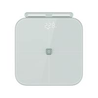 米家（MIJIA）小米智能八电极体脂秤S800体重管理家用体重秤电子秤 雾青色 双频精准检测 支持蓝牙连接 减肥 雾青色 【高端专业】八电极体脂秤