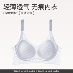 芬腾 大胸轻薄涼感 无钢圈女士文胸  0662 浅兰 L 冰爽刺激！