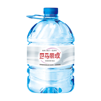 巴马丽琅 天然矿泉水4.6Lx4瓶 国家地理标志保护产品 源自巴马长寿之乡