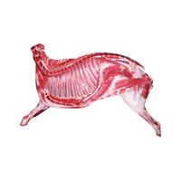 百鲜洽宁夏滩羊肉礼盒新鲜现杀半只羊10斤羊腿羊排烧烤火锅食材年货 半羊10斤精分割