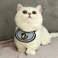 宠物口水巾可爱猫咪围兜狗狗围脖小型犬幼猫围巾卖萌小猫英短配饰