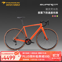 瑞豹 SUPER SPORT 碳纤维油碟公路车