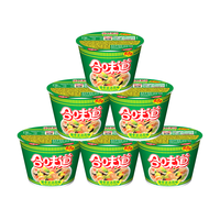 NISSIN 日清食品 合味道 迷你杯 方便面 猪骨浓汤味 46g*6杯