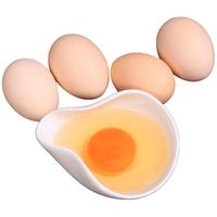 【50克大蛋】30-40枚白荡里农家散养新鲜土鸡蛋营养