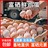 富硒鸡蛋 产地直发 40±5克/枚 30枚