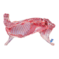 宁羊天下 宁夏滩羊肉 新鲜现杀10斤半只羊整发礼盒 清真食材 源头直发 10斤整半只