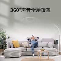 德士 全景声蓝牙音箱乐宴电视机高端家用客厅HIFI立体环绕音响 丹贵-单台音响