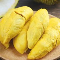 泰国猫山王榴莲肉 泰猫冻榴莲肉1 /毛重500克