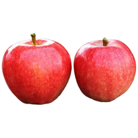 京觅 云南昭通丑苹果 12枚 80mm+ 新鲜水果生鲜红富士冰糖心 源头直发