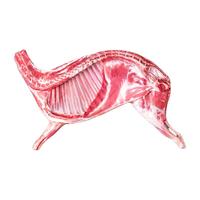 西牛优选 散养乳羔羊半只 5kg