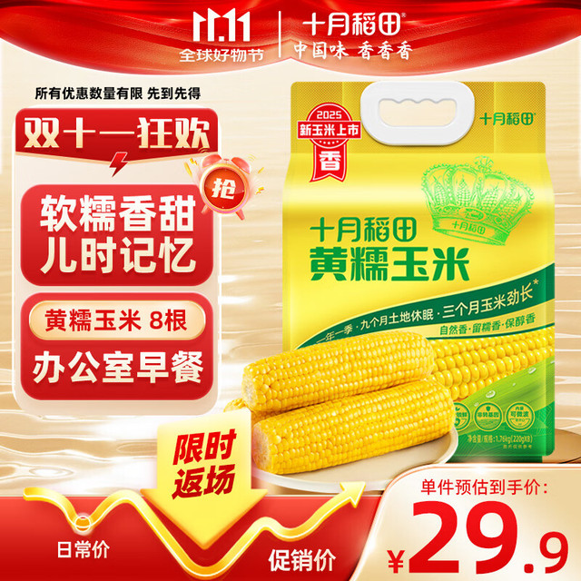 十月稻田 黄糯玉米 3.52斤(220g*8根) 25年新玉米（低至1.35元/根）