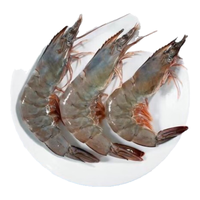 京东超市海外直采 厄瓜多尔白虾 20-25只/盒 净重500G