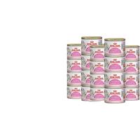 ROYAL CANIN 皇家 离乳期幼猫慕斯奶糕 主食罐 195g*24罐