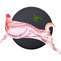 宁鑫 6月龄 半只羔羊 8kg 礼盒装