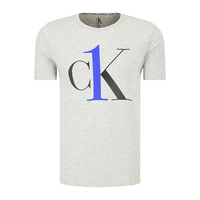 Calvin Klein CK男士T恤 短袖时尚经典夏装 NM1903E YG4灰色 M