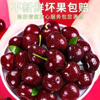 鲜耐  当季进口智利车厘子  2斤(净重) 1J