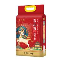 十月香 东北贡软香米5kg2022新米真空锁鲜大米10斤
