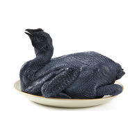 温氏食品 温氏乌骨鸡鸡肉800g原粮慢养乌鸡农家土鸡五黑鸡生鲜食品