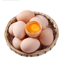 田农肴土鸡蛋 农家散养新鲜土鸡蛋柴鸡蛋笨鸡蛋草鸡蛋 40枚 40g/枚