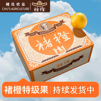 褚橙 褚氏农业 单果果重175-210g 5kg 礼盒装