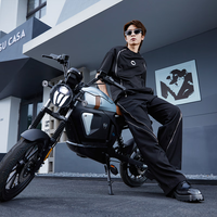 摩兽 电动车M03I 跨骑电摩可上牌锂电池智能长续航 星舰灰 48v24Ah纯电45-100km 48V24Ah锂电池