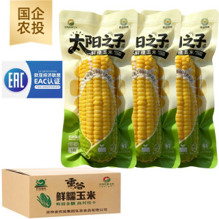 北誉甄品 农投集团 头茬东北黄糯玉米 280-350g*8棒