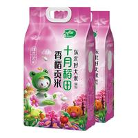 SHI YUE DAO TIAN/十月稻田 香稻贡米
