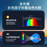 V-POWER学习灯立式护眼灯大路灯全光谱落地式卧室钢琴灯智能台灯儿童 【限时特價】立式护眼灯BASIS版