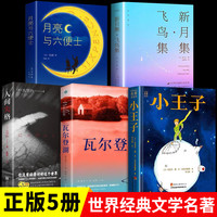 小王子书籍珍藏版彩图完整无删减版圣埃克苏佩里全本全经典童话故事书世界名中英文双语版注音全英the little prince