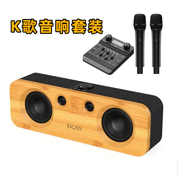 声浪K歌音响套装【单音响+调音台+双麦】