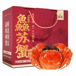 XIAN YAO 鱻谣 大闸蟹 全公3.8-4.1两 8只装 生鲜活蟹