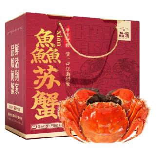 鱻谣 大闸蟹 母蟹110-125g 8只 礼盒装