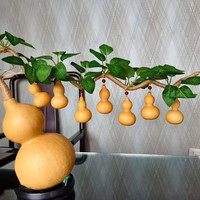 天然葫芦乔迁家居饰品镇宅招财摆件 大葫芦20-25厘米 总长60厘米