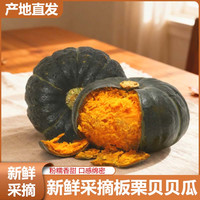 甄选新鲜板栗贝贝瓜 口感绵密粉糯香甜  净重4.5斤