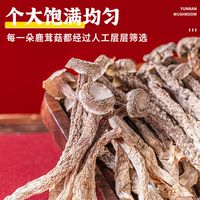 新鲜鹿茸菇干货云南特产煲汤炒菜食材250g