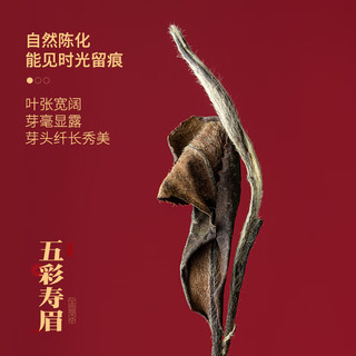梦龙韵【精选福鼎白茶】陈皮白茶福鼎白茶源产地核心产区老白茶礼盒 2020年福鼎老白茶五彩寿眉 50g*2盒 +礼袋