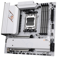 七彩虹 COLORFIRE B850M-MEOW WIFI7 橘猫主板+英