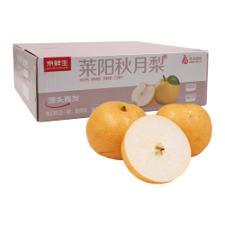 京鲜生 山东莱阳秋月梨  净重1.5kg 单果300g以上 生鲜水果 源头直发