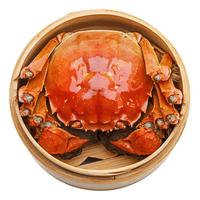 渔家师傅 大闸蟹 母蟹95-110g 6只 礼盒装
