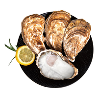 京鲜港【活鲜】生蚝5斤 4XL 10-13只装 源头直发 露营烧烤