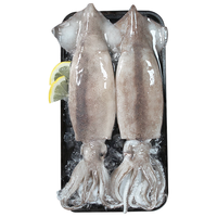CHUXIAN 初鲜 冷冻整条大鱿鱼 600-650g 2条