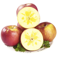 京觅冰糖心红富士苹果70~75mm3斤装新鲜水果源头直发