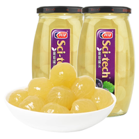 科技葡萄罐头800g*2瓶 水果罐头去皮去籽零食水果捞糖水饮料甜点 葡萄罐头800g*2罐