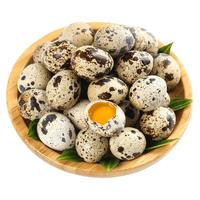耕果妙新鲜鹌鹑蛋100颗鹑鸟蛋小鸟蛋 源头直发整箱 100枚