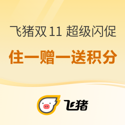 飞猪双11 超级闪促 限时加赠大额积分，大牌酒店住一赠一！